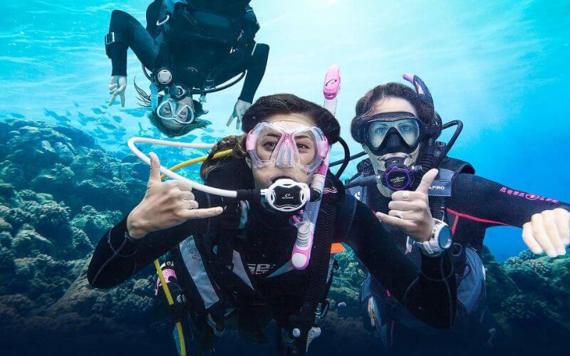 L'Arcipelago Los Roques è considerato uno dei migliori posti, non solo dei caraibi, ma di tutto il mondo per fare immersioni scuba diving - Pianifica le tue vacanze a Los Roques, Venezuela con Posada Macondo